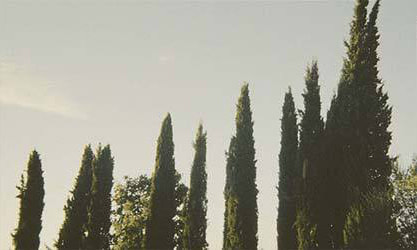 Image: Shotaro Kobayashi, “Untitled”, 2022.